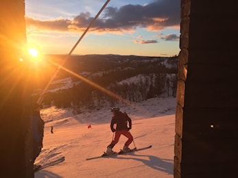 FIS-renn Ål Alpin 16/2-19/2
